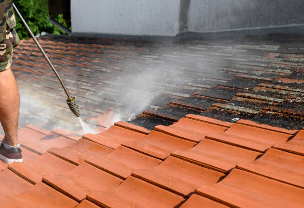 Local Pressure Washing Services in Difficult Run, VA